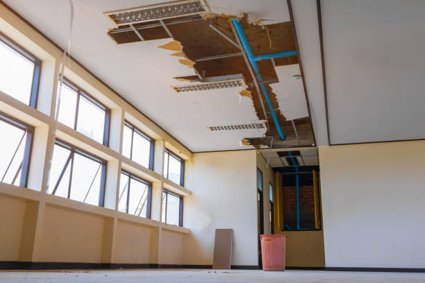 Best Local water damage restoration  in Middletown, MD