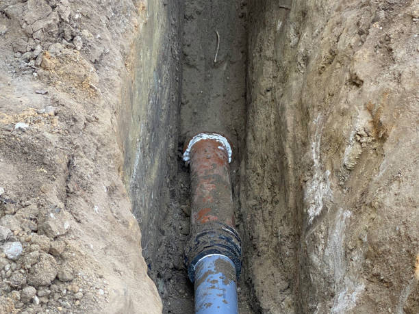 Best Sewage cleanup and water damage restoration  in Middletown, MD