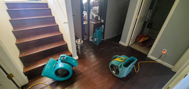 Best Water damage restoration near me  in Middletown, MD