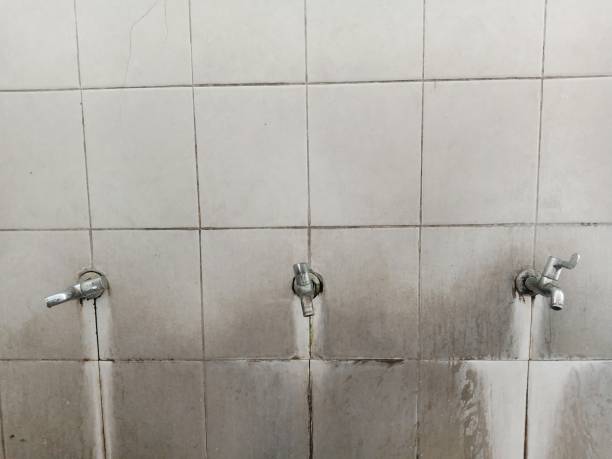 Best Water damage restoration near me  in Middletown, MD