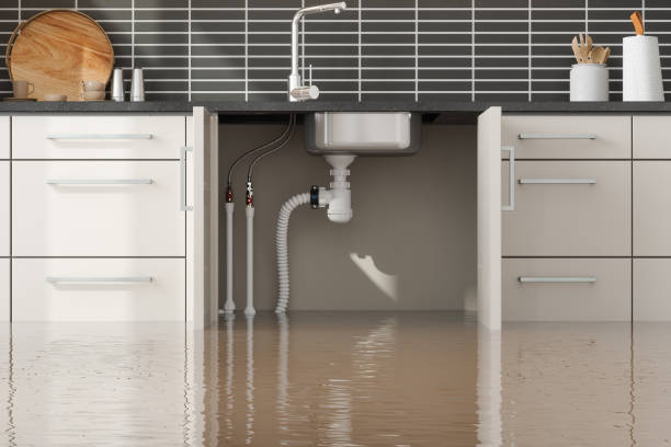 Best Ceiling water damage repair  in Middletown, MD