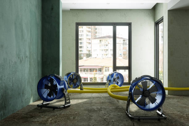 Best Water damage contractors near me  in Middletown, MD